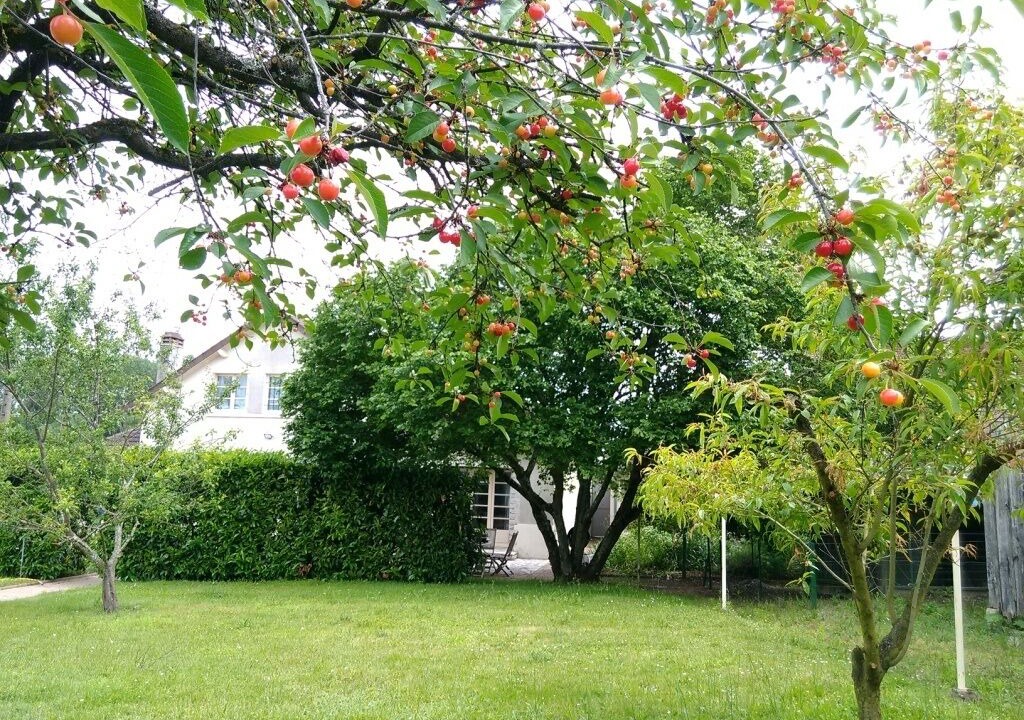 Photo of Outdoor in Saint-Aignan