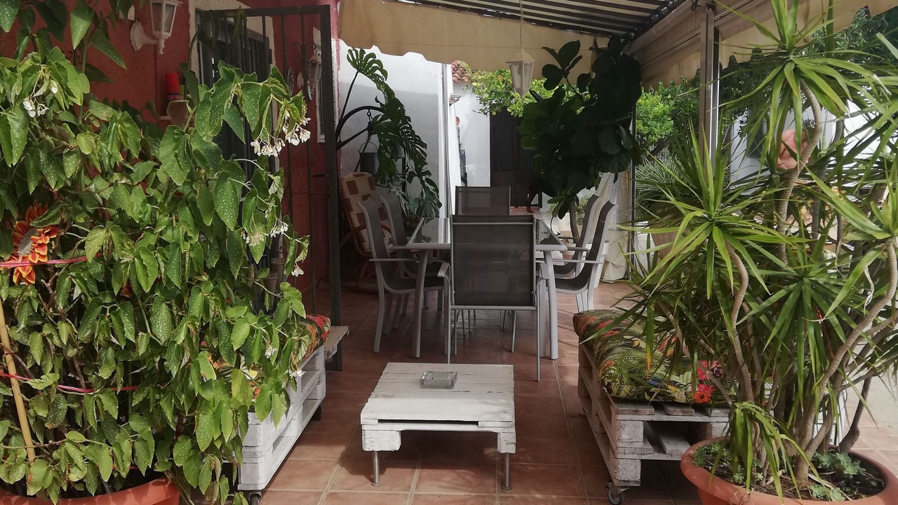 Photo of Outdoor in Oliva