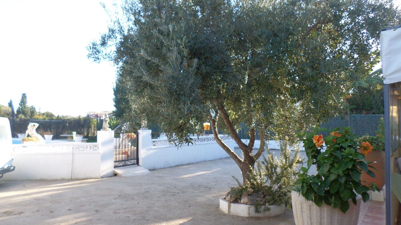 Photo of Outdoor in Oliva