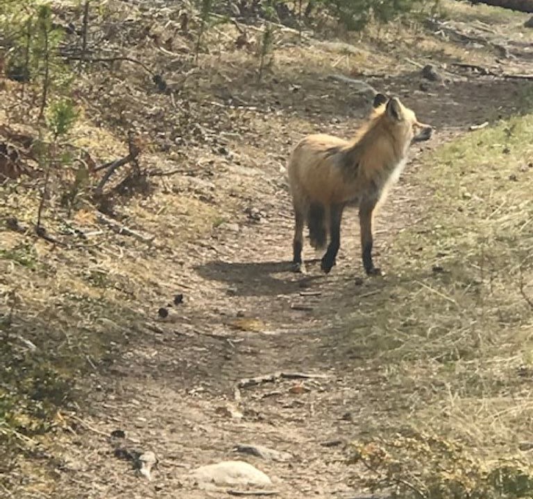 Photo of Outdoor in Grand Lake