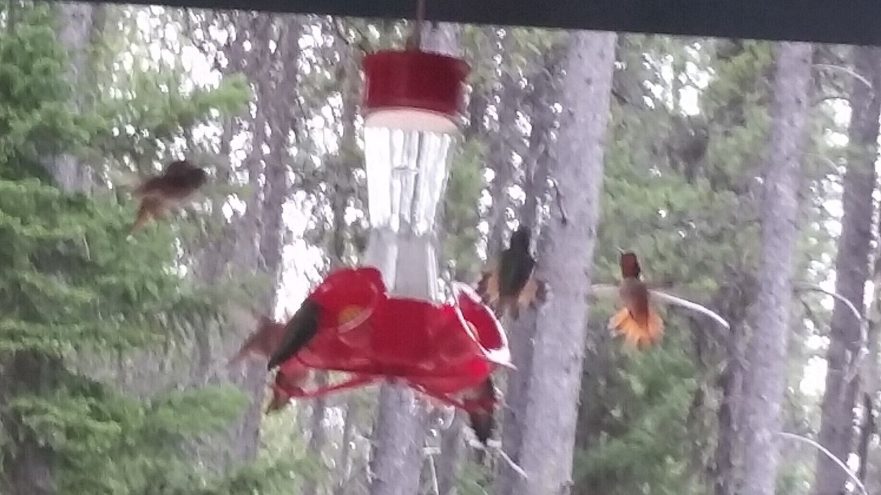 Photo of Others in Essex