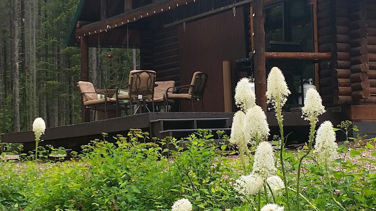 Photo of Others in Essex