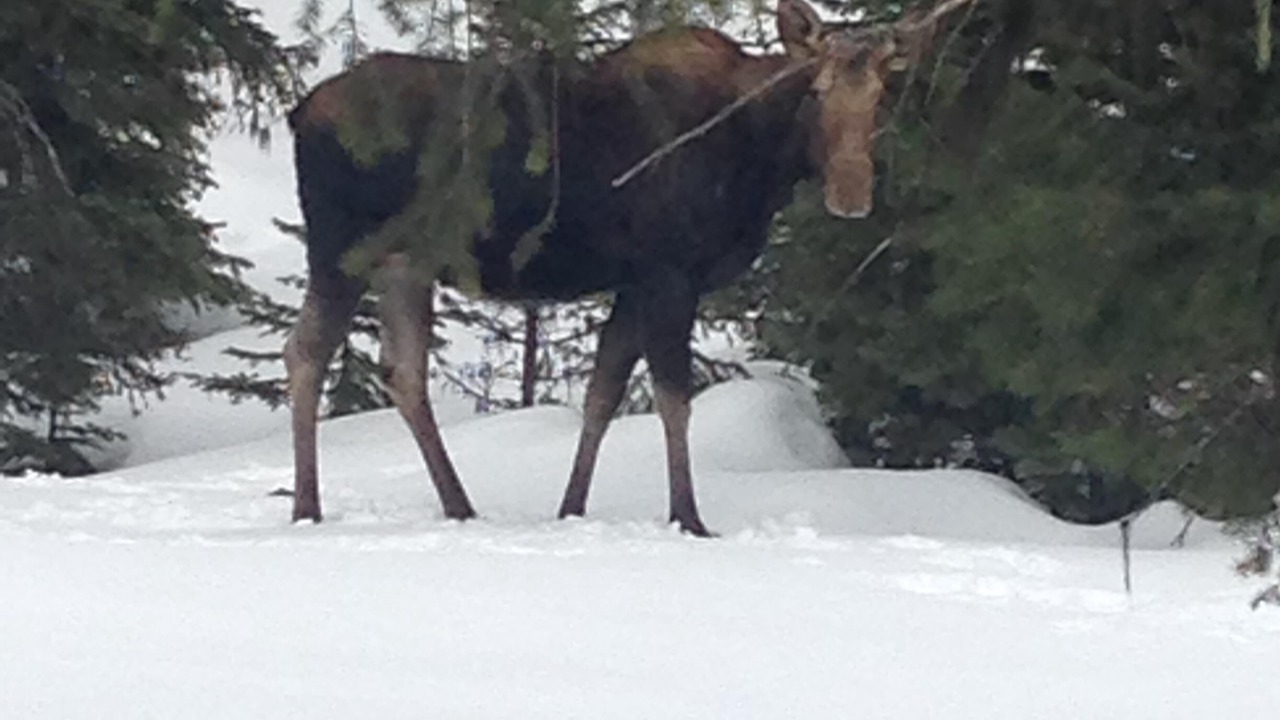 Photo of Others in Essex