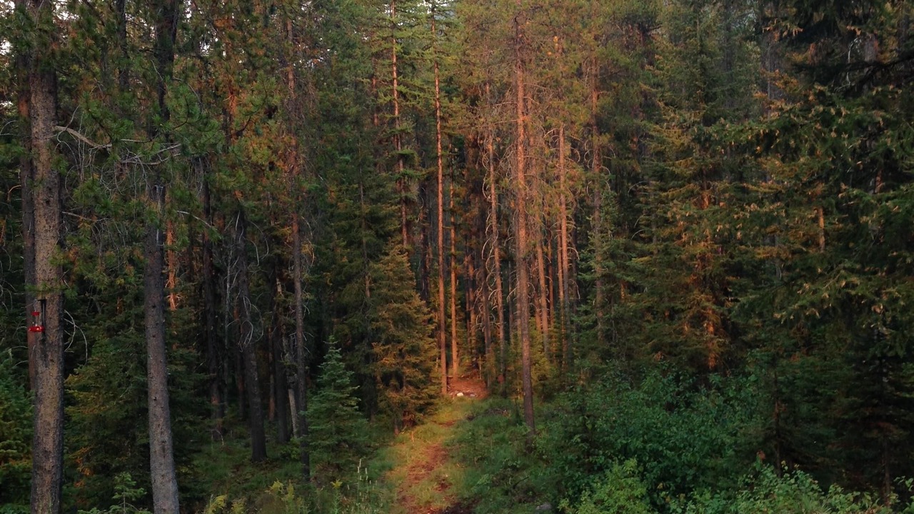 Photo of Others in Essex