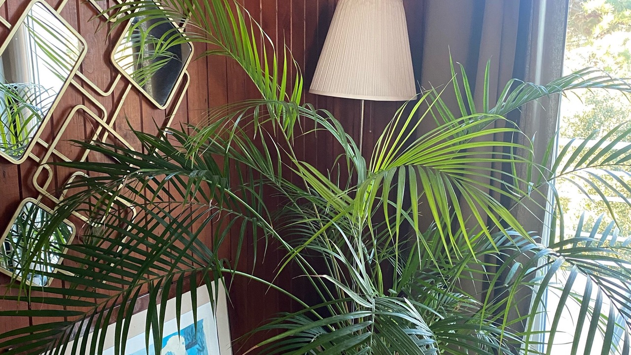 Photo of Others in Saint-Quay-Portrieux