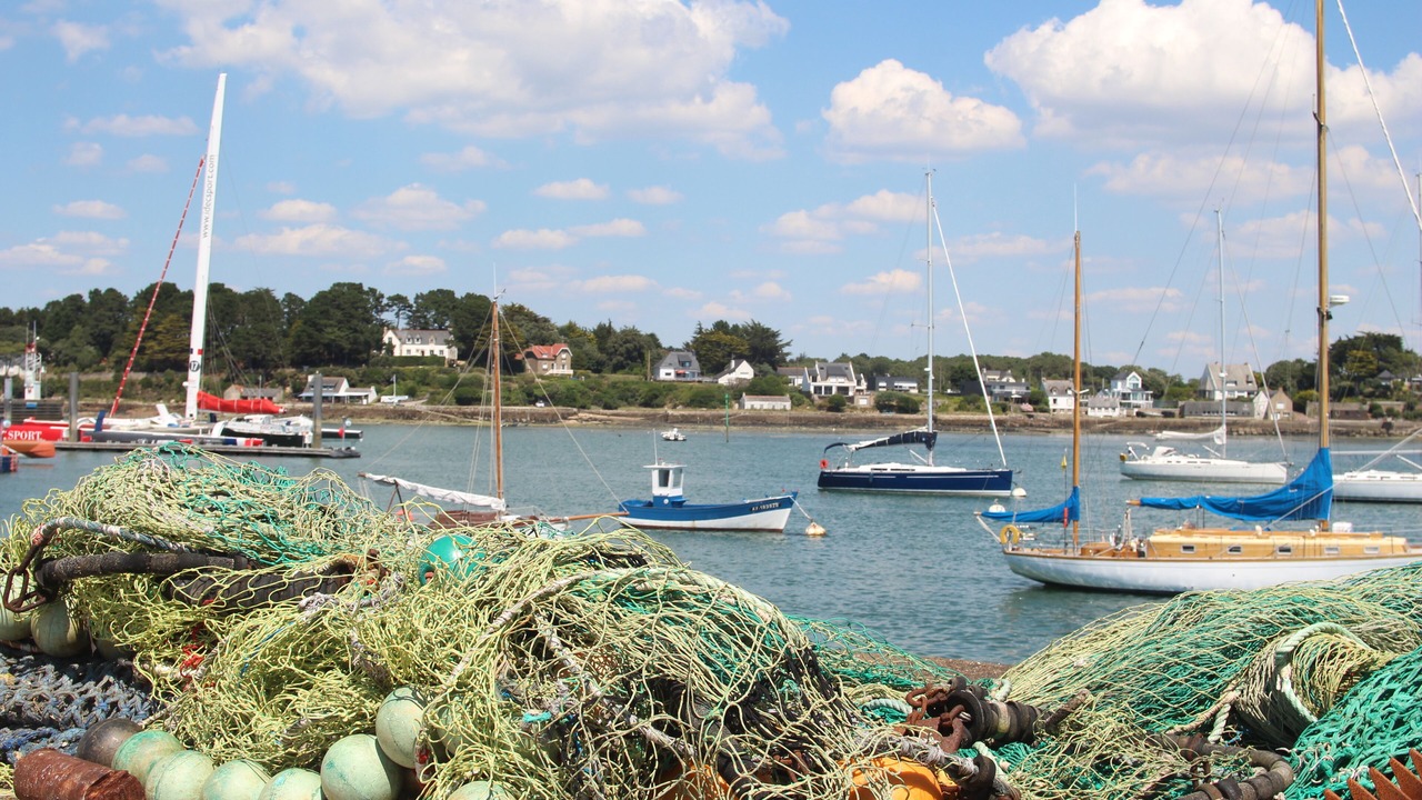 Photo of Others in La Trinite-sur-Mer