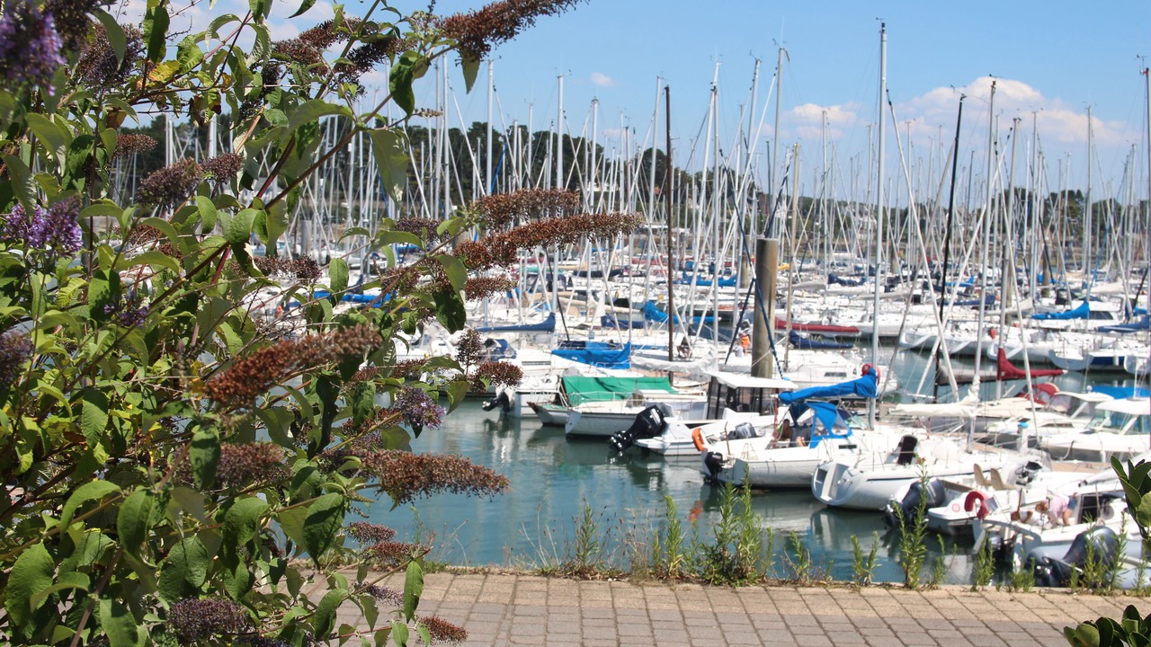 Photo of Others in La Trinite-sur-Mer