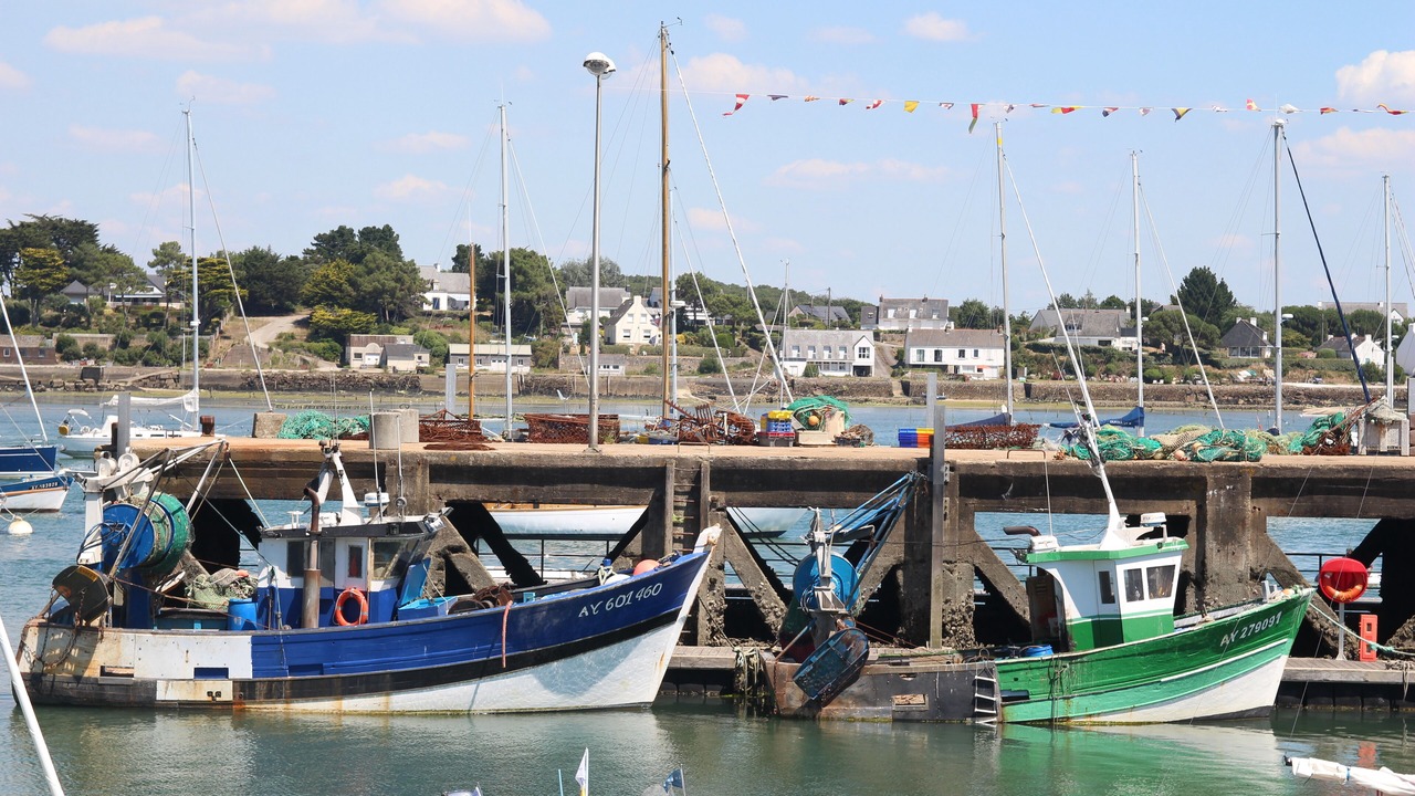 Photo of Others in La Trinite-sur-Mer