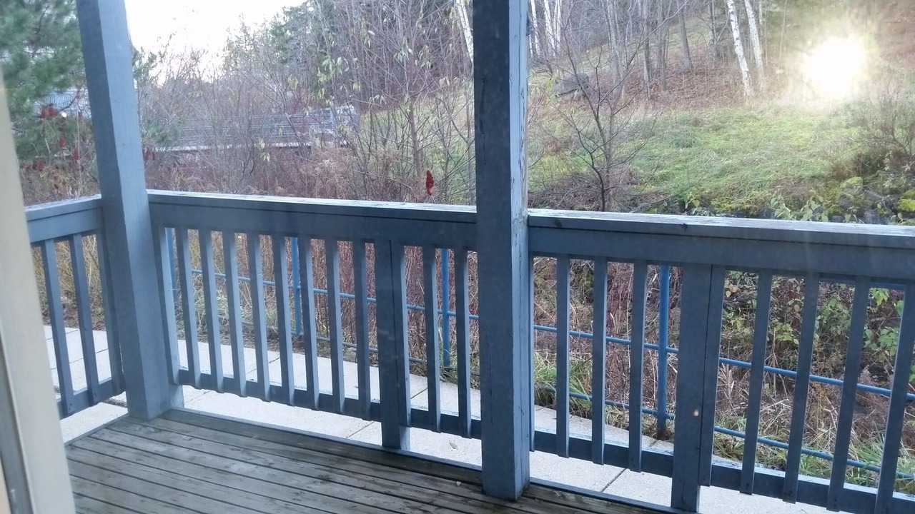 Photo of Others in Craigleith
