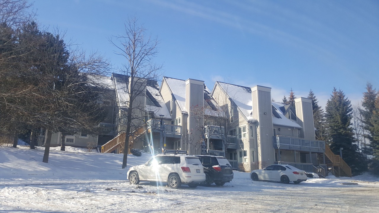 Photo of Outdoor in Craigleith