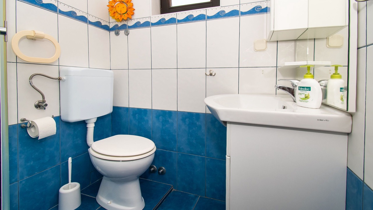 Photo of Bathroom in Susica