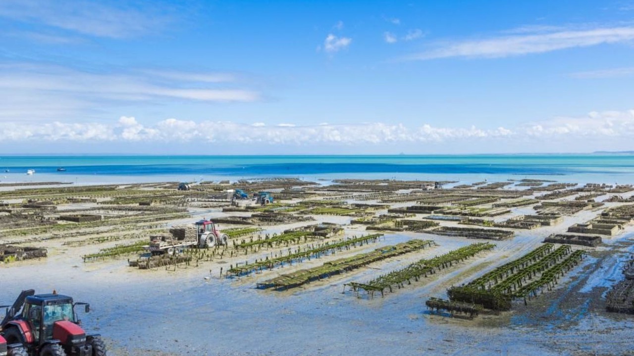 Photo of Others in Cancale