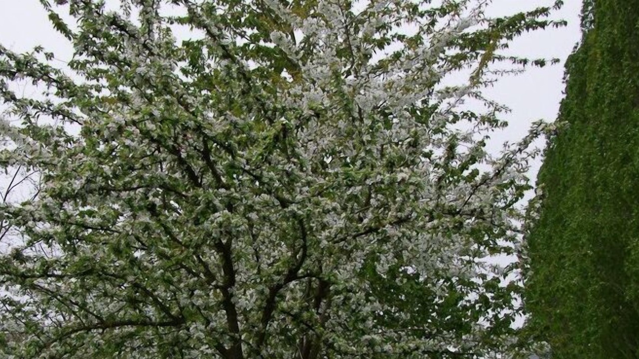 Photo of Outdoor in Pleudihen-sur-Rance