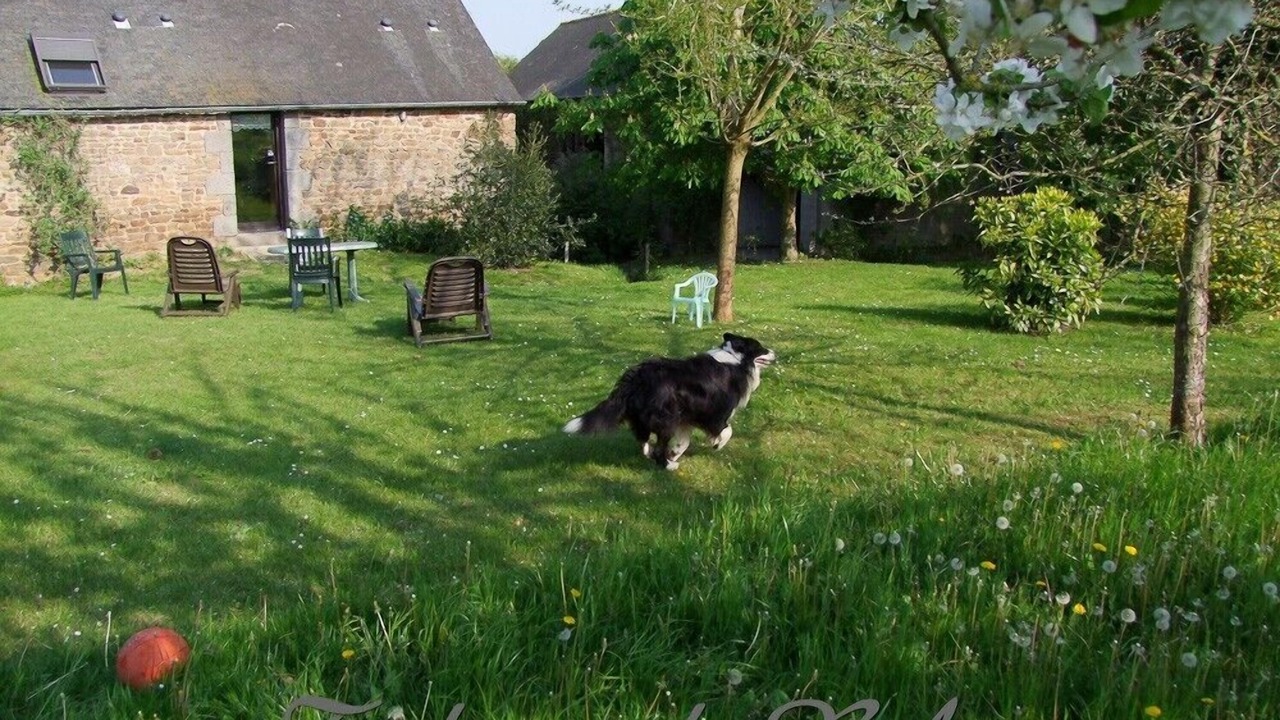 Photo of Outdoor in Pleudihen-sur-Rance