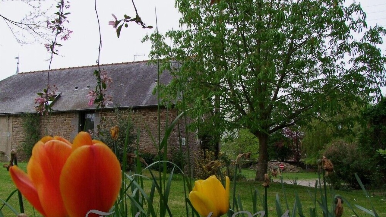 Photo of Outdoor in Pleudihen-sur-Rance