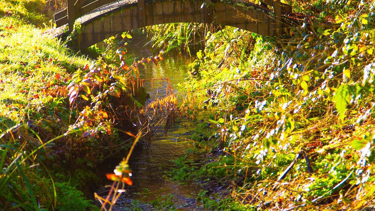 Photo of Others in Saltash