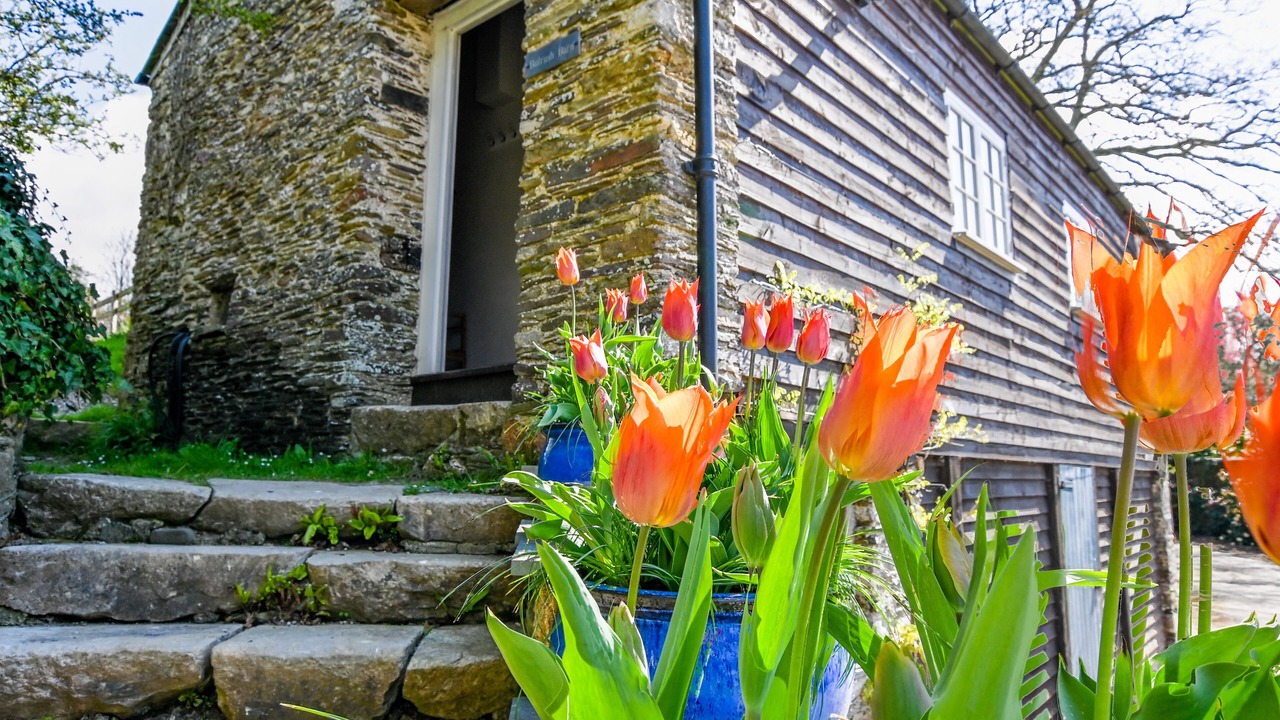 Photo of Others in Saltash