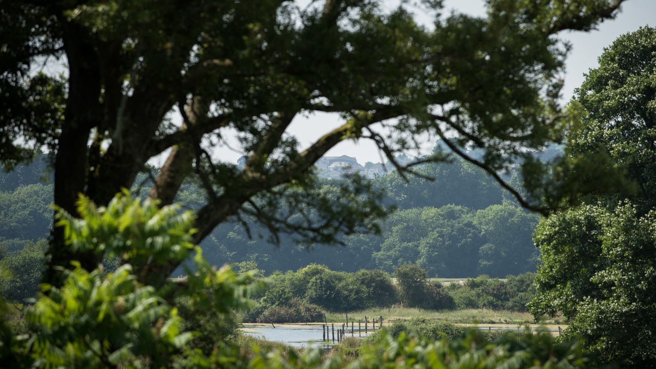 Photo of Others in Saltash