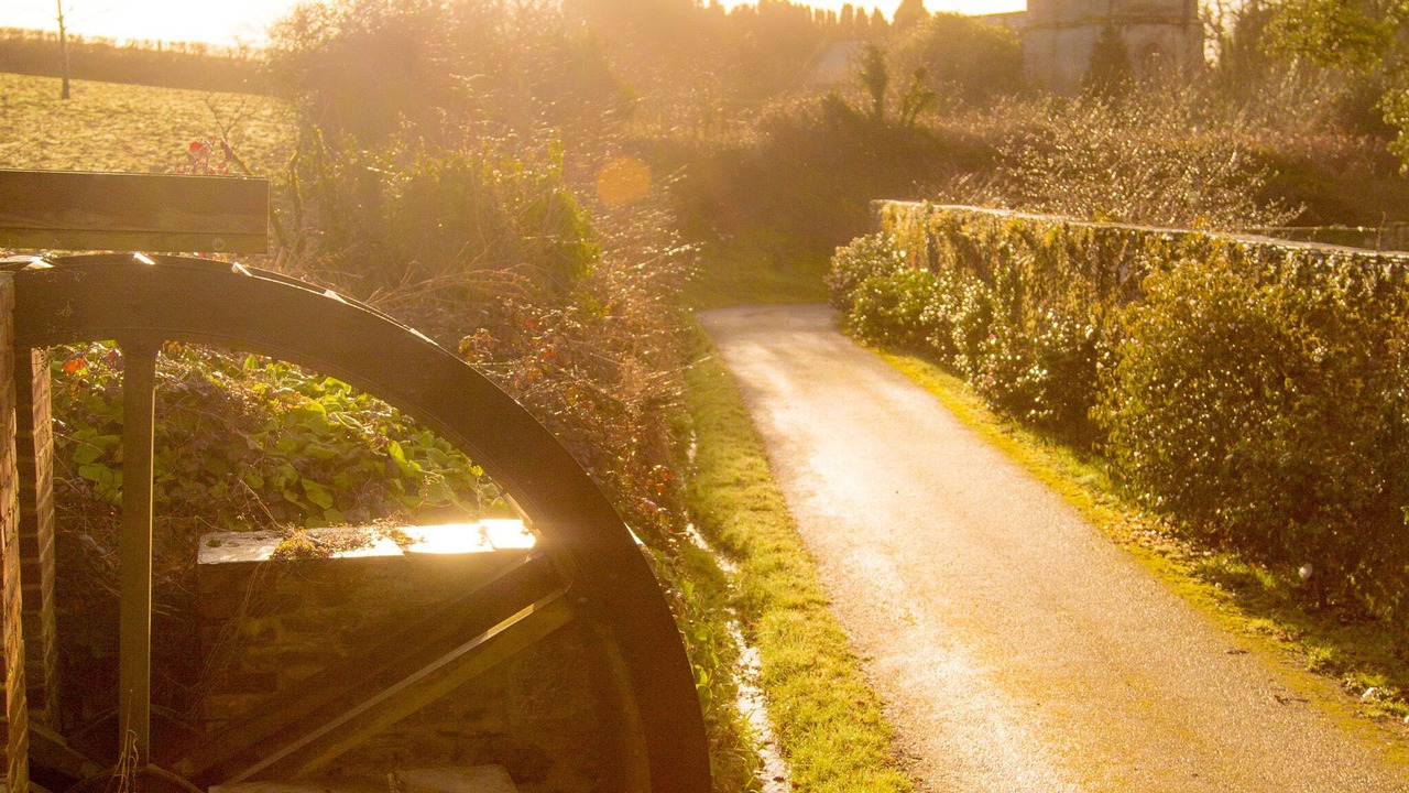 Photo of Others in Saltash