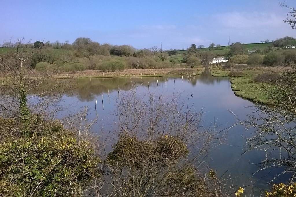 Photo of Outdoor in Saltash