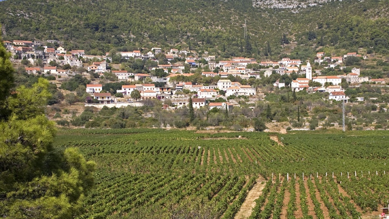 Photo of Others in Zavalatica