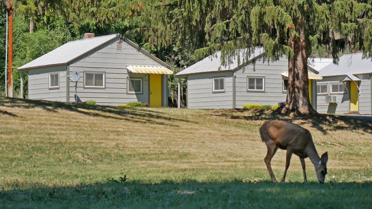 Photo of Outdoor in Twisp