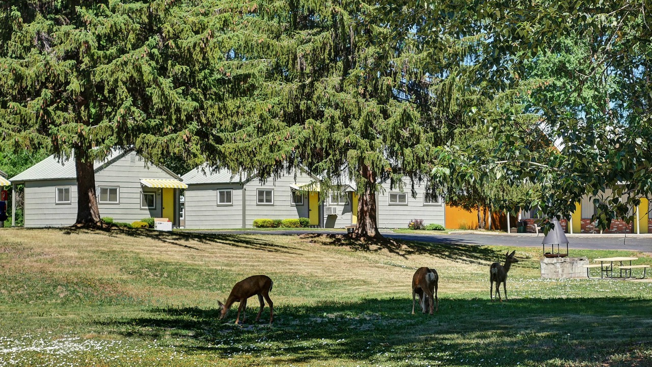 Photo of Outdoor in Twisp