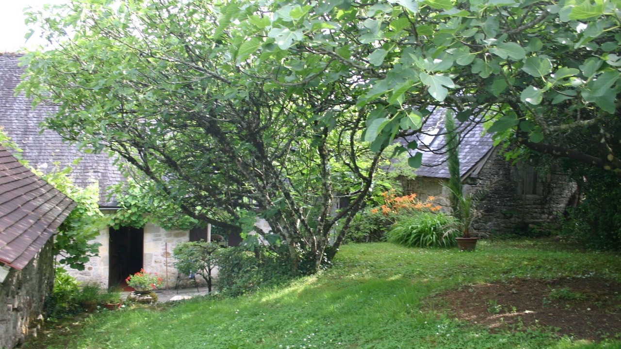 Photo of Others in Turenne