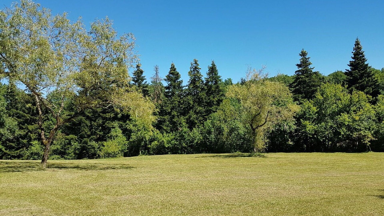 Photo of Others in Turenne