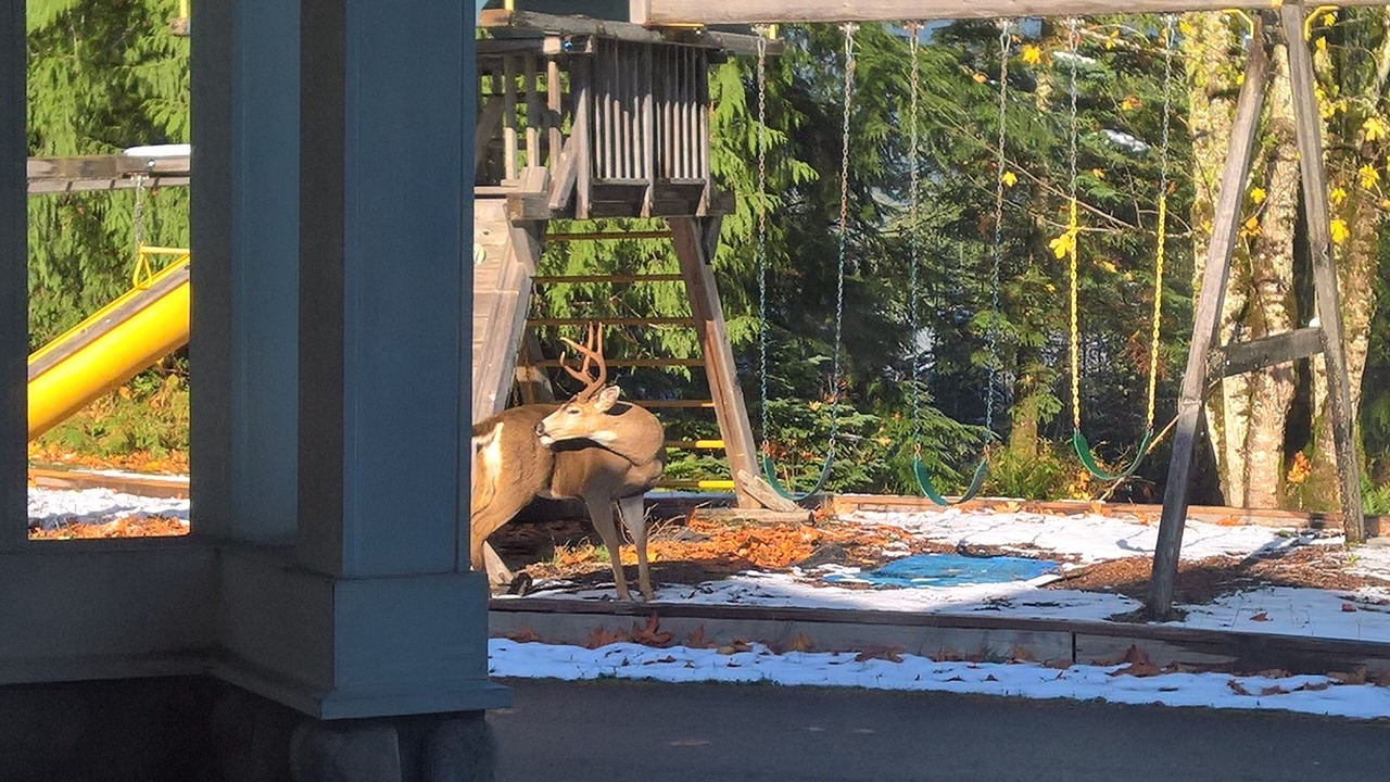 Photo of Outdoor in North Bend