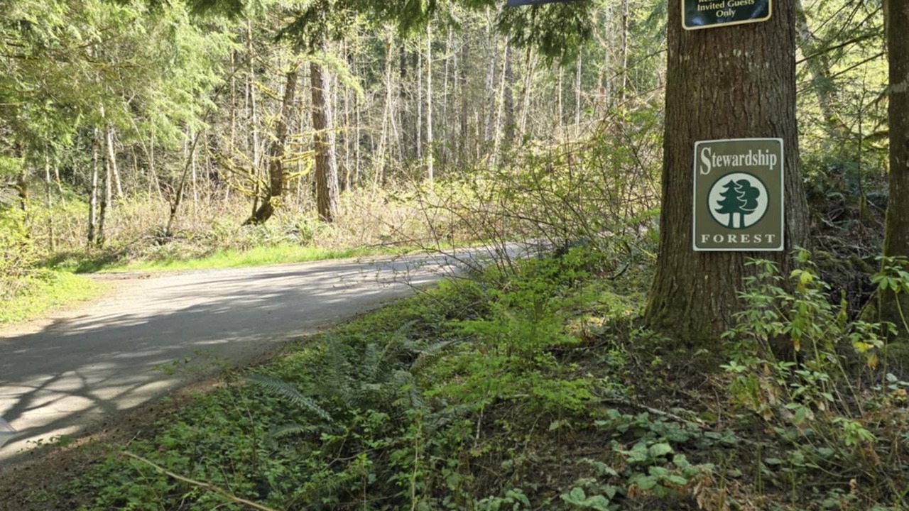 Photo of Outdoor in North Bend