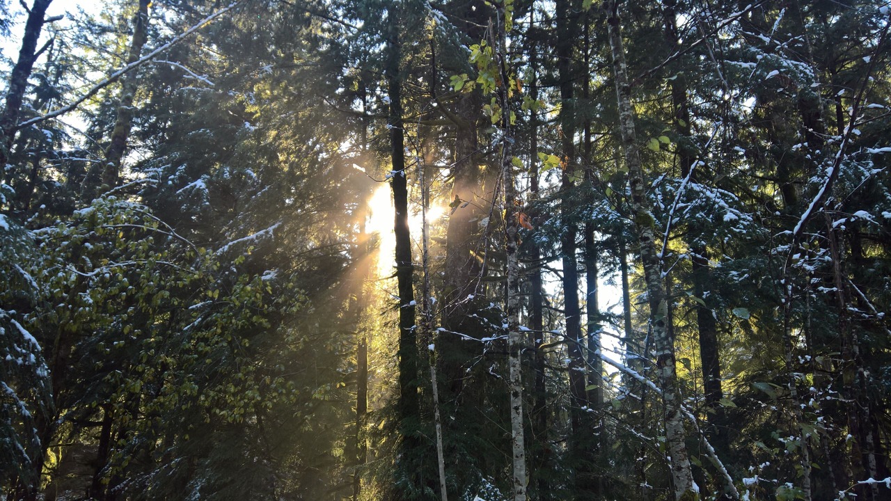 Photo of Others in North Bend