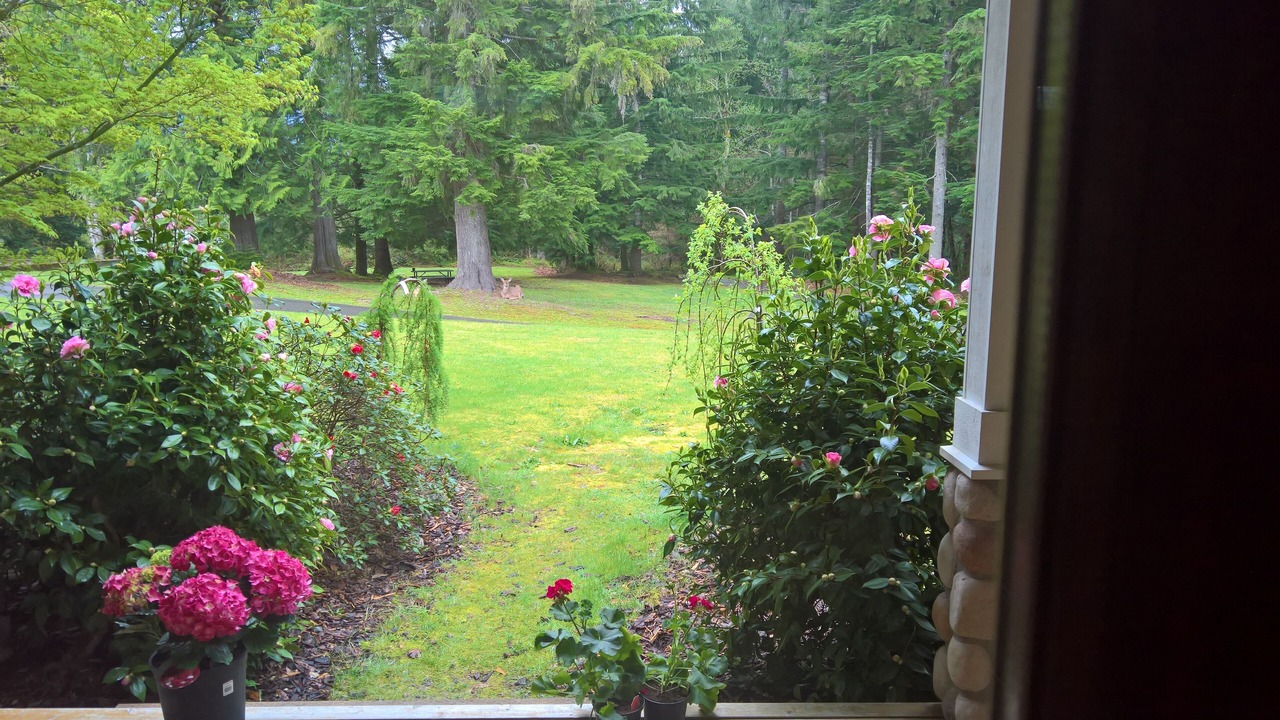 Photo of Others in North Bend