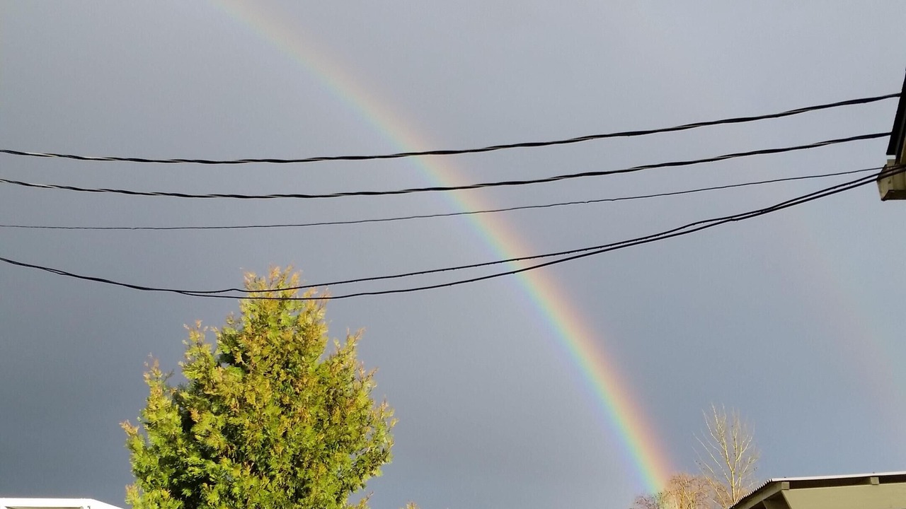 Photo of Others in Phoenix