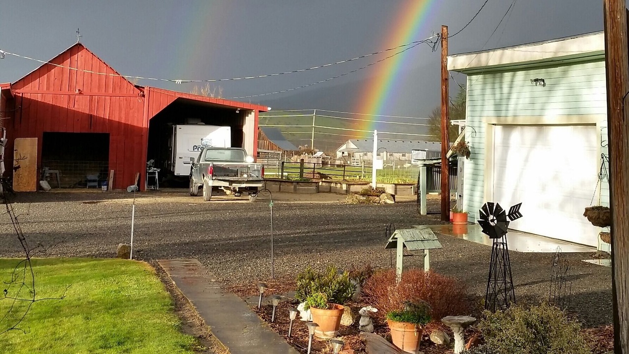 Photo of Others in Phoenix