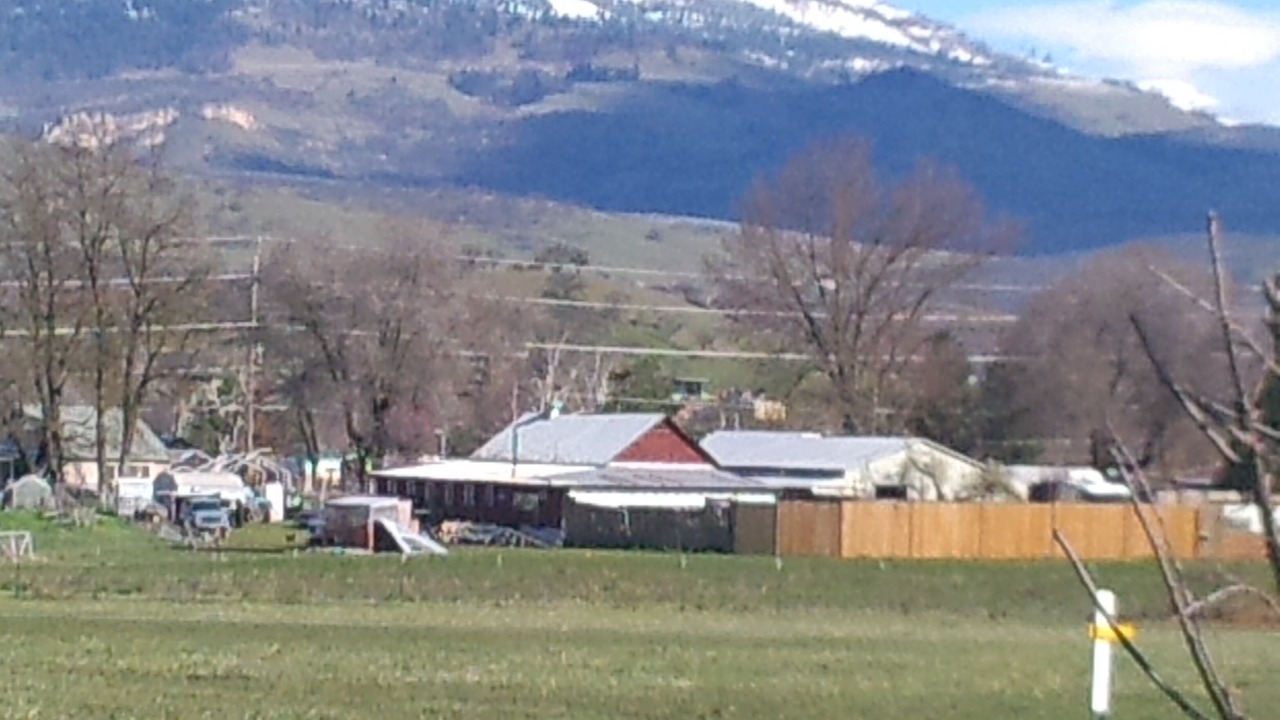 Photo of Others in Phoenix