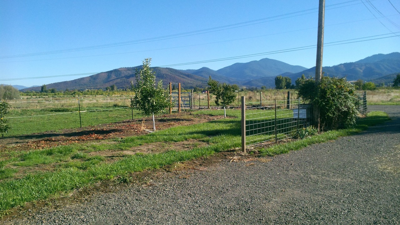 Photo of Others in Phoenix