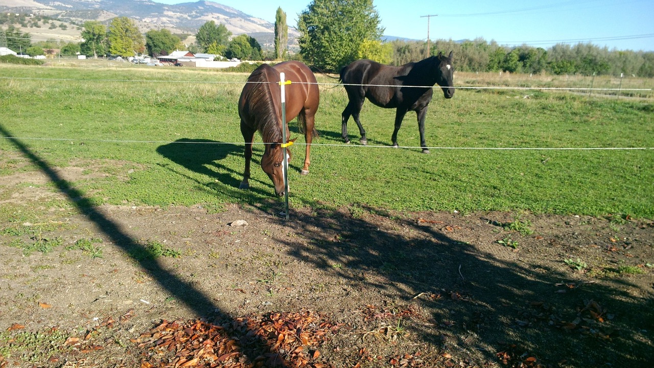 Photo of Others in Phoenix