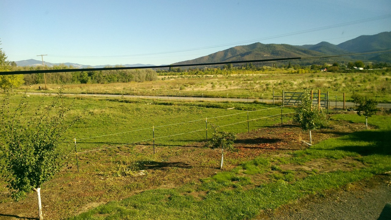 Photo of Others in Phoenix