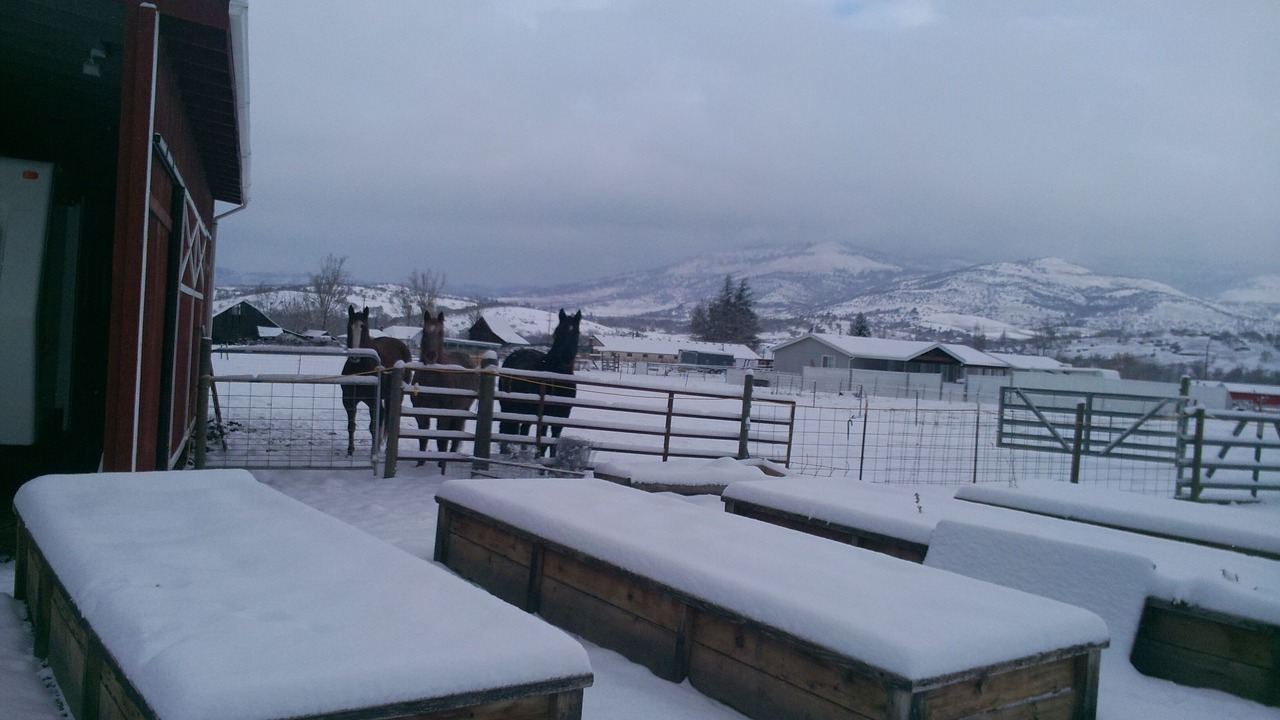 Photo of Others in Phoenix