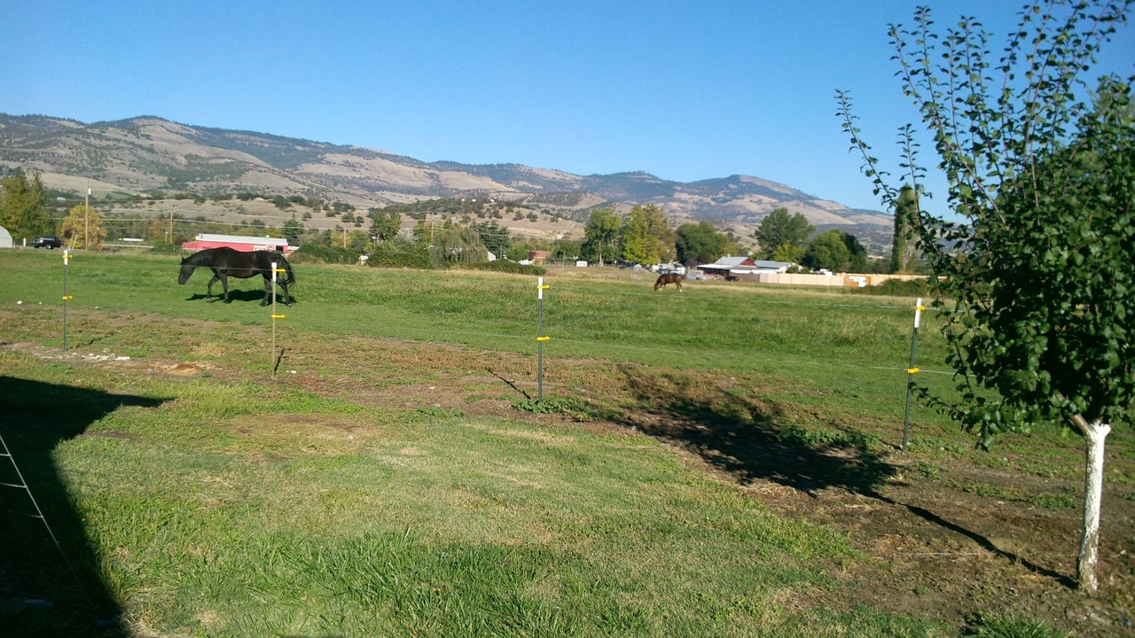 Photo of Others in Phoenix