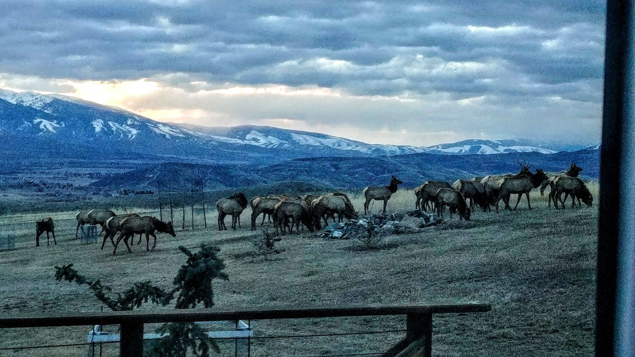 Photo of Others in Salmon