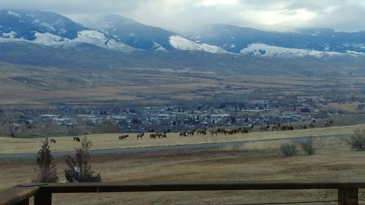 Photo of Others in Salmon