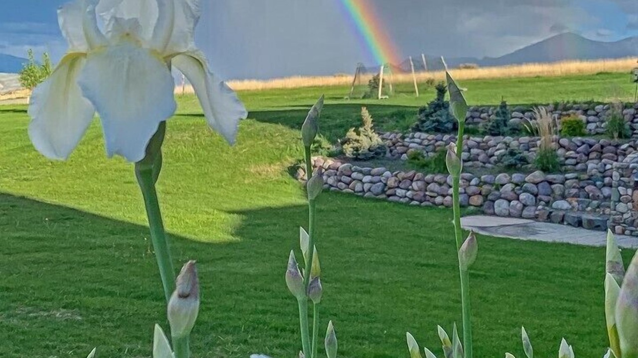 Photo of Outdoor in Salmon