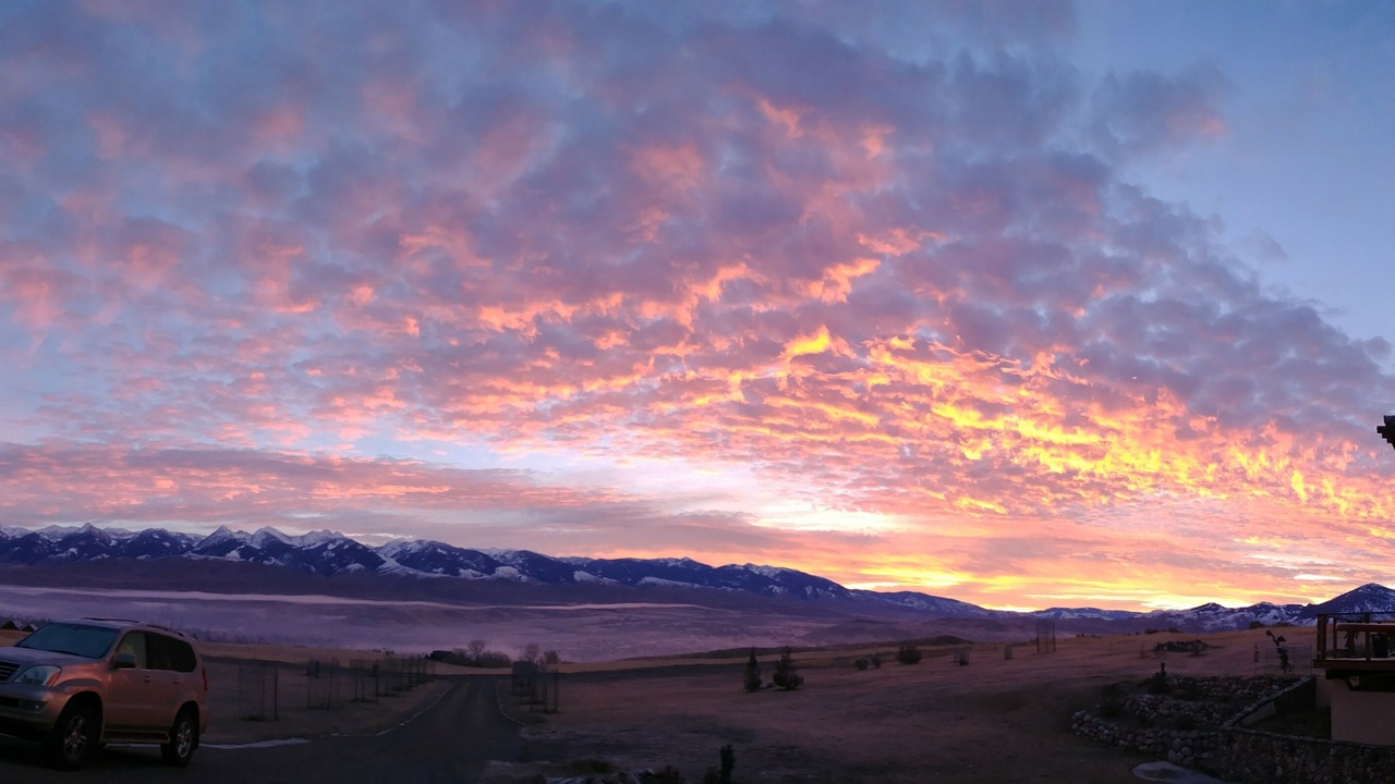 Photo of Others in Salmon