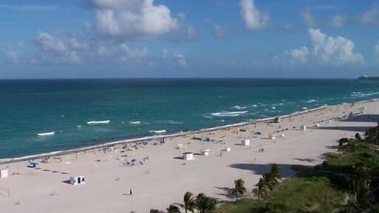 Photo of Others in South Beach