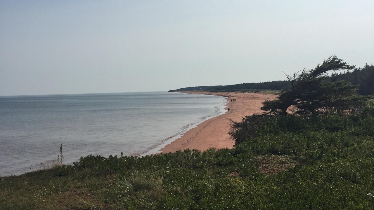 Photo of Others in Tignish