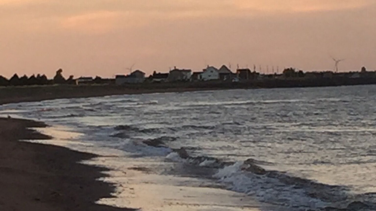 Photo of Others in Tignish