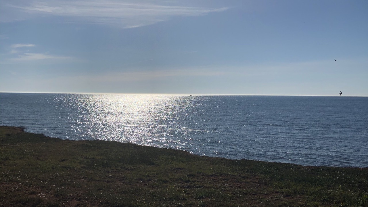 Photo of Others in Tignish