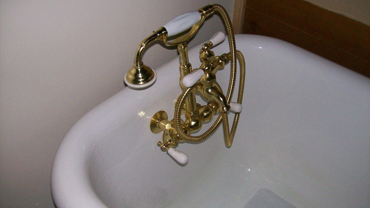 Photo of Others in Hoodsport